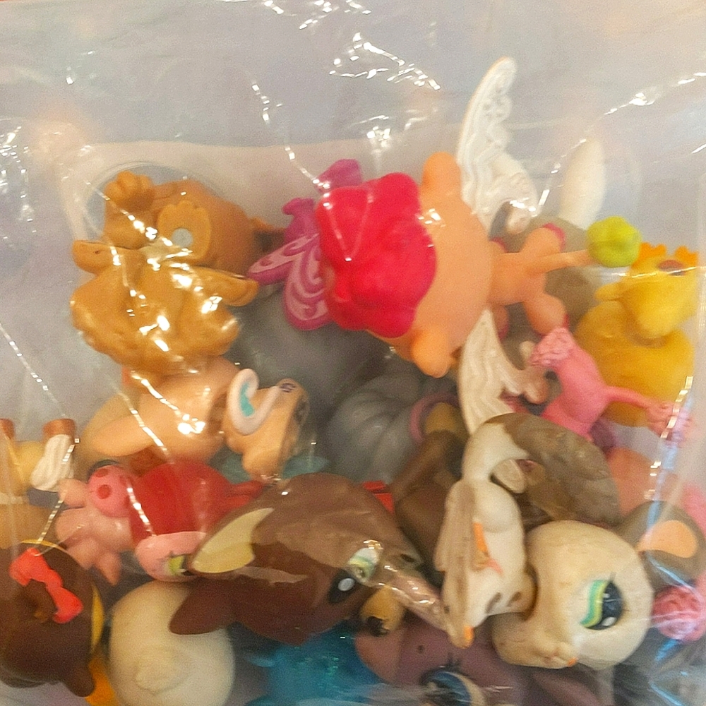 Littlest pet shop (old version and new version)